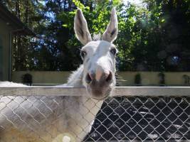 Florent LUKAS - Agence LFA!